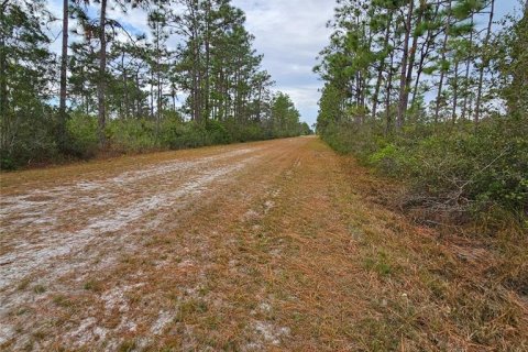 Land in Indian lake estates, Florida № 2272952 - photo 5