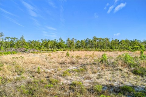 Land in Indian lake estates, Florida № 2272952 - photo 22