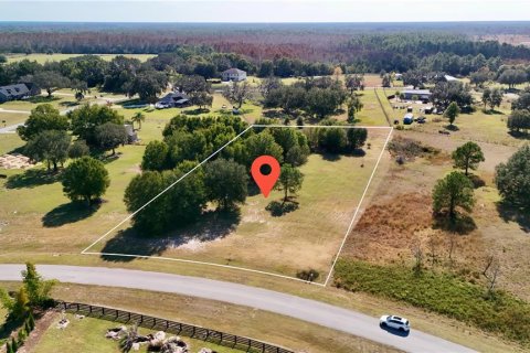 Land in Clermont, Florida № 2148440 - photo 8