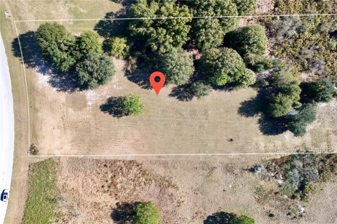 Land in Clermont, Florida № 2148440 - photo 13