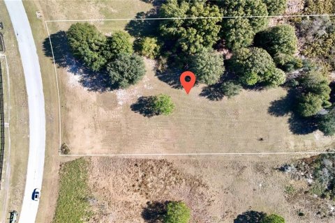 Land in Clermont, Florida № 2148440 - photo 12