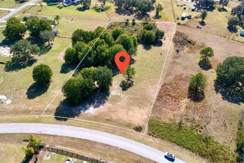 Land in Clermont, Florida № 2148440 - photo 26