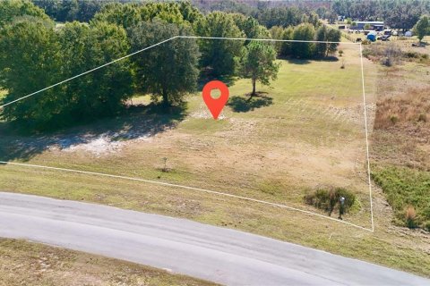 Land in Clermont, Florida № 2148440 - photo 28