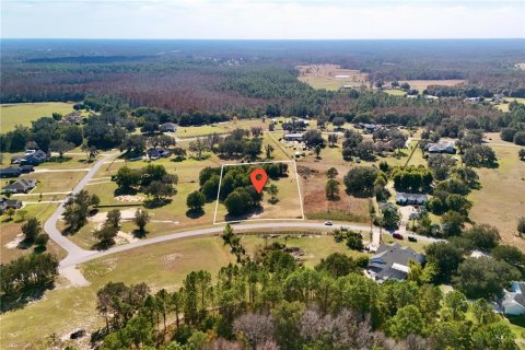 Land in Clermont, Florida № 2148440 - photo 19