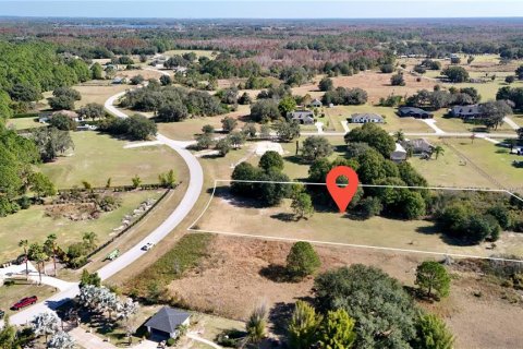 Land in Clermont, Florida № 2148440 - photo 10