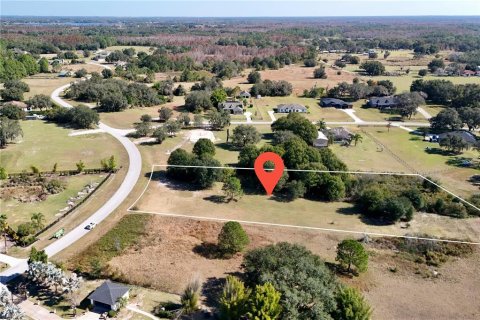 Land in Clermont, Florida № 2148440 - photo 11
