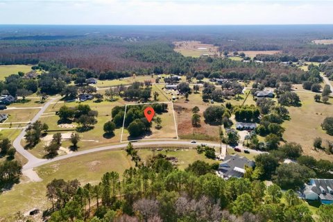 Land in Clermont, Florida № 2148440 - photo 18