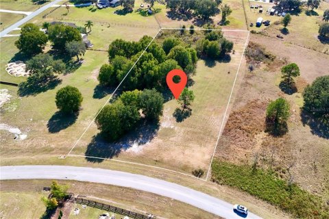 Land in Clermont, Florida № 2148440 - photo 27