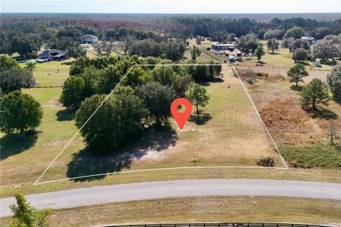 Land in Clermont, Florida № 2148440 - photo 6