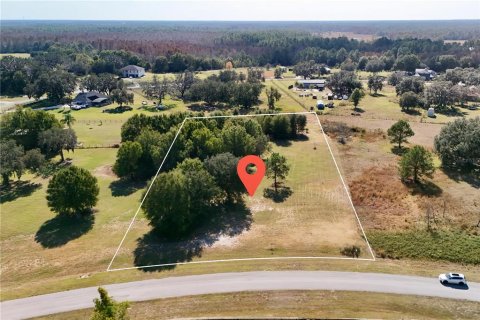 Land in Clermont, Florida № 2148440 - photo 2
