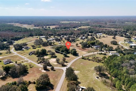 Land in Clermont, Florida № 2148440 - photo 16
