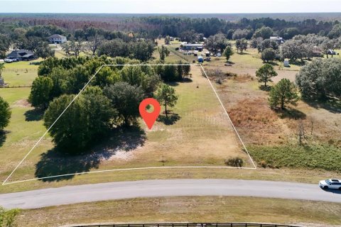 Land in Clermont, Florida № 2148440 - photo 5