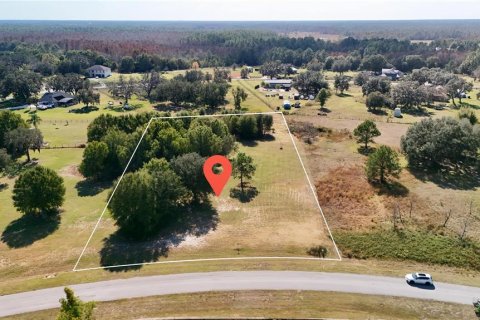 Land in Clermont, Florida № 2148440 - photo 7