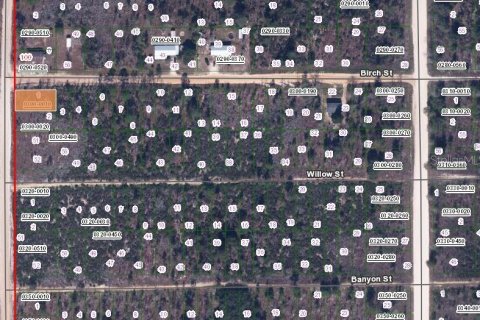 Land in Interlachen, Florida № 2160162 - photo 2