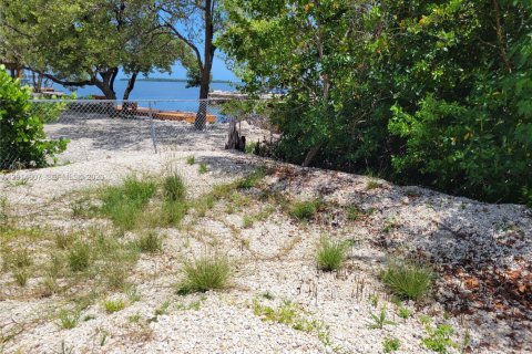 Casa en alquiler en Key Largo, Florida, 2 dormitorios, 102.56 m2 № 2171299 - foto 2