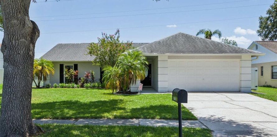 House in Tampa, Florida 4 bedrooms, 170.57 sq.m. № 2227188