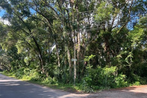 Terreno en venta en Sorrento, Florida № 1919302 - foto 1