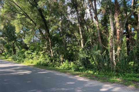 Terreno en venta en Sorrento, Florida № 1919302 - foto 2
