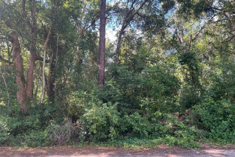 Terreno en venta en Sorrento, Florida № 1919302 - foto 3