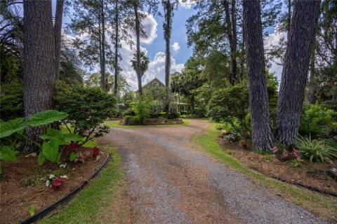 Villa ou maison à vendre à Gainesville, Floride: 4 chambres, 346.71 m2 № 1757913 - photo 29
