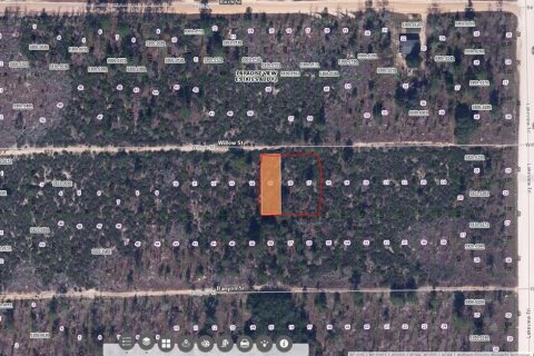 Land in Interlachen, Florida № 2160204 - photo 2