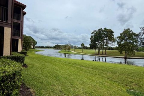 Copropriété à louer à Clearwater, Floride: 1 chambre, 66.98 m2 № 2412584 - photo 16
