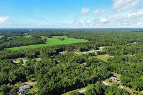 Land in Dunnellon, Florida № 1833608 - photo 2