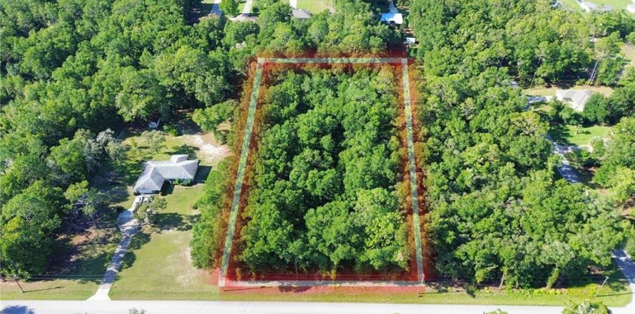 Land in Dunnellon, Florida № 1833608