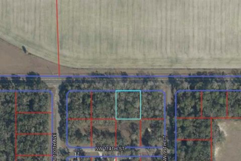 Land in Chiefland, Florida № 2161124 - photo 4