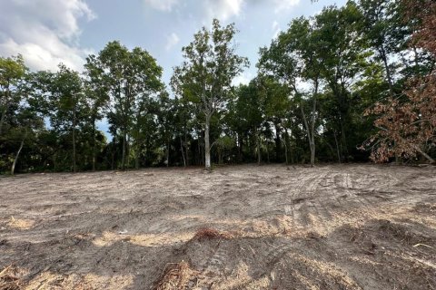 Land in Chiefland, Florida № 2161124