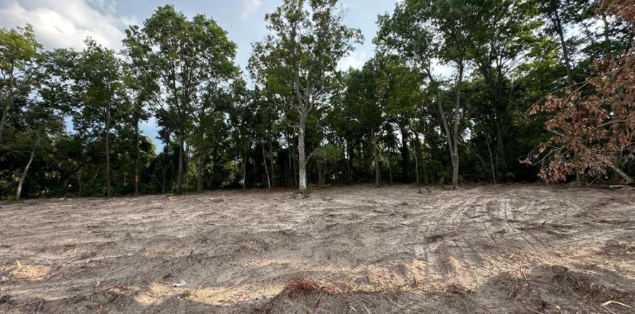 Land in Chiefland, Florida № 2161124