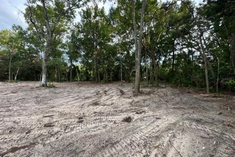 Land in Chiefland, Florida № 2161124 - photo 2