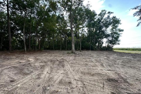 Land in Chiefland, Florida № 2161124 - photo 3