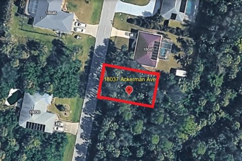 Land in Port Charlotte, Florida № 2163395 - photo 2
