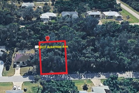 Land in Port Charlotte, Florida № 2163395