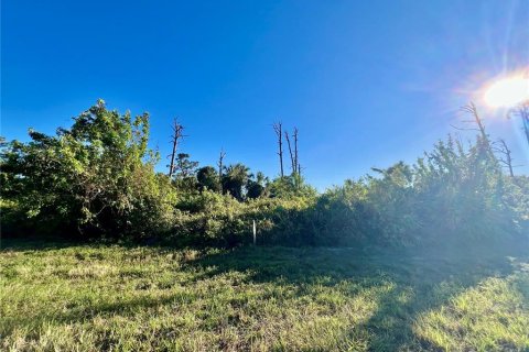 Land in Placida, Florida № 2162572