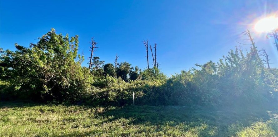 Land in Placida, Florida № 2162572