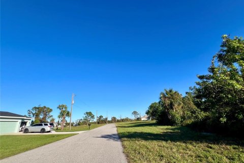 Land in Placida, Florida № 2162572 - photo 3