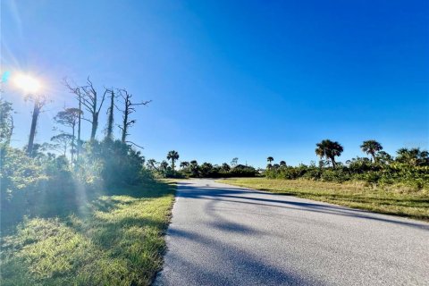 Land in Placida, Florida № 2162572 - photo 2