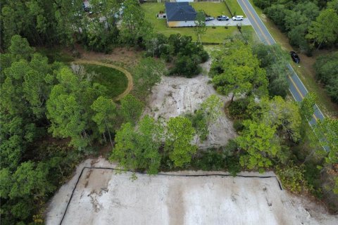 Terrain à Eustis, Floride № 2109968
