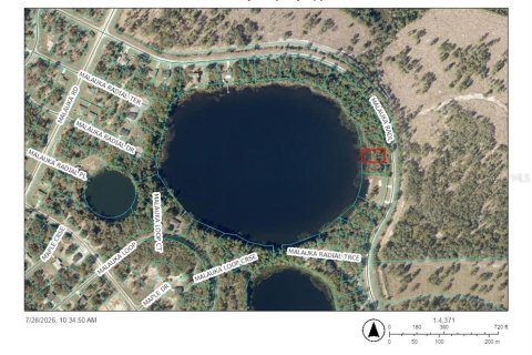 Land in Ocklawaha, Florida № 2203702 - photo 4