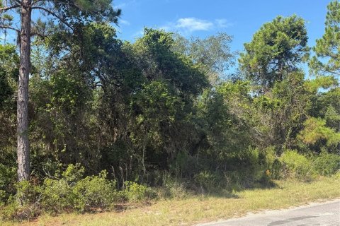 Land in Ocklawaha, Florida № 2203702 - photo 5