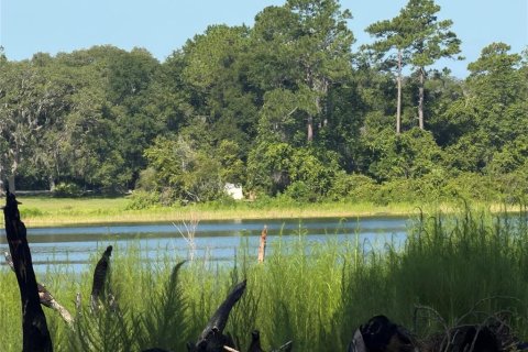 Land in Ocklawaha, Florida № 2203702