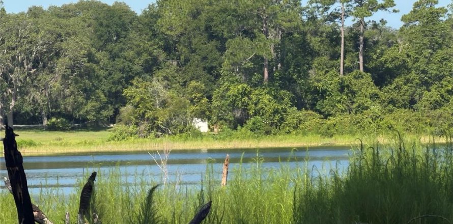 Land in Ocklawaha, Florida № 2203702