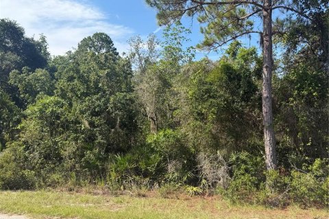 Land in Ocklawaha, Florida № 2203702 - photo 6