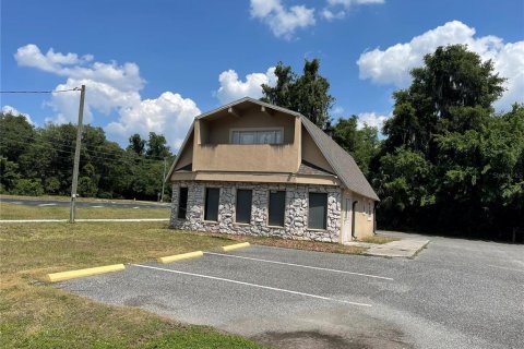 Commercial property in Wildwood, Florida 150.5 sq.m. № 1194678 - photo 1
