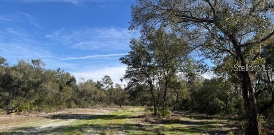 Land in Fort MC Coy, Florida № 1647636