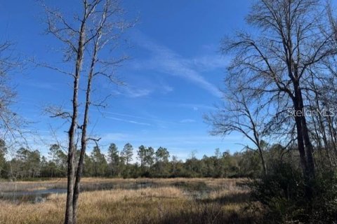 Land in Fort MC Coy, Florida № 1647636 - photo 16