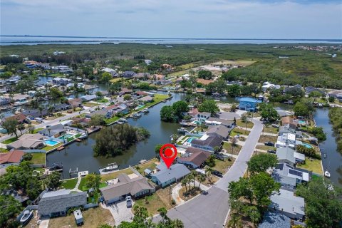 House in Tampa, Florida 3 bedrooms, 125.42 sq.m. № 1649417 - photo 6