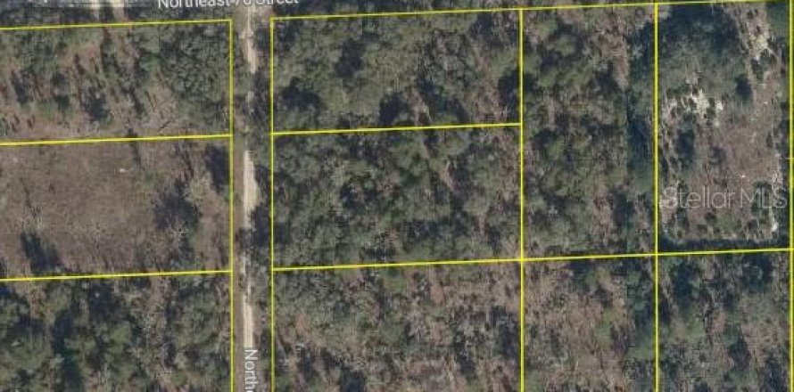 Terreno en Bronson, Florida № 2213075